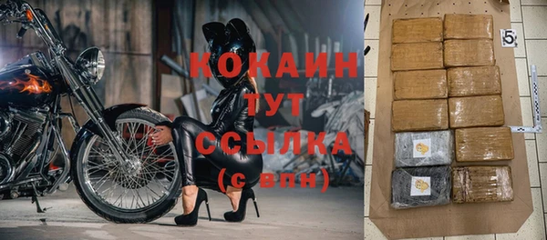 спиды Чекалин