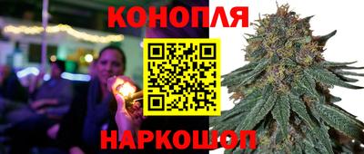 сатива Азнакаево