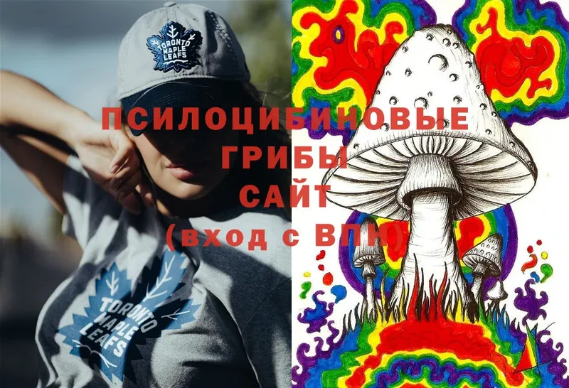 Галлюциногенные грибы MAGIC MUSHROOMS  Рыбинск 