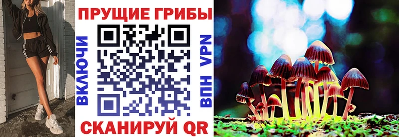 Галлюциногенные грибы мицелий  где можно купить   Рыбинск 
