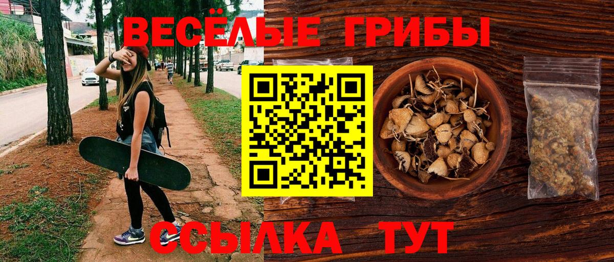 Псилоцибиновые грибы MAGIC MUSHROOMS Рыбинск