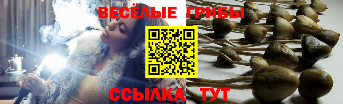 Галлюциногенные грибы Psilocybine cubensis  как найти закладки  Рыбинск  Вход с VPN 